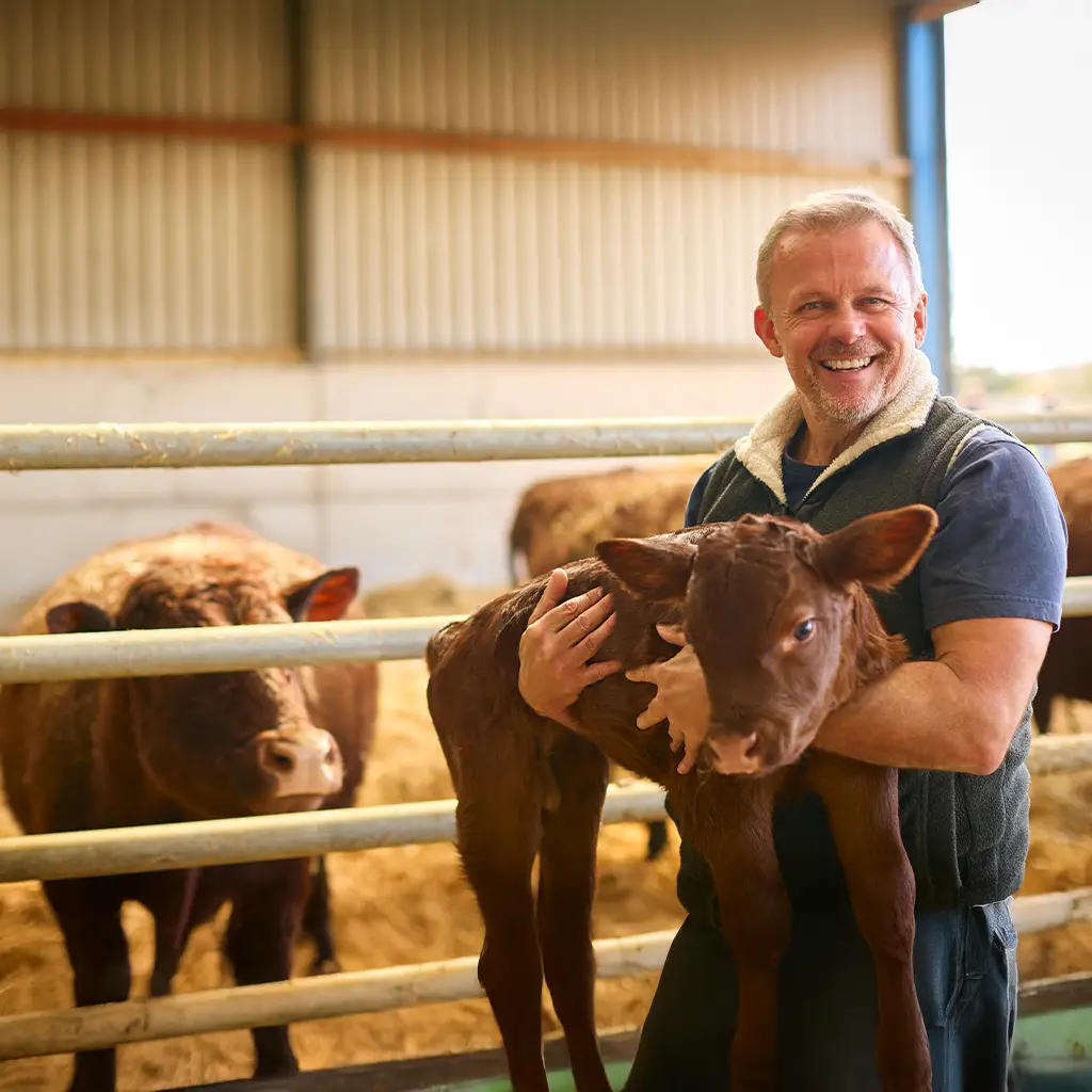 Siggs and co Farming Consultancy Services for Devon Somerset and Across the South West UK - Total Farm Compliance & Risk Management Protecting your business, your payments, and your reputation.